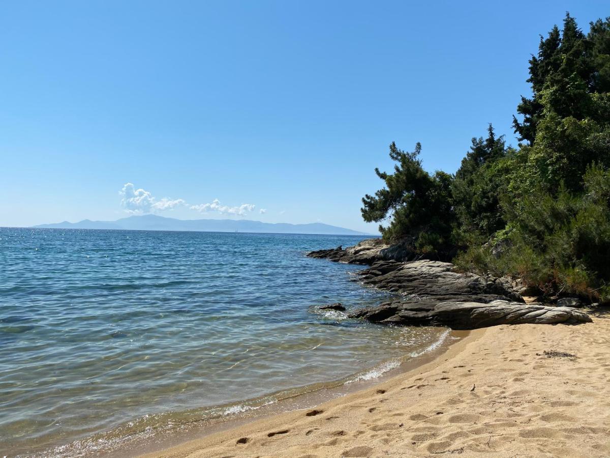 PalaiónTsiflíkion Irini Seaside Apartment מראה חיצוני תמונה